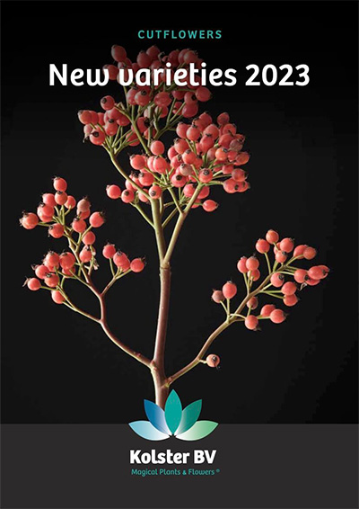 New varieties 2023