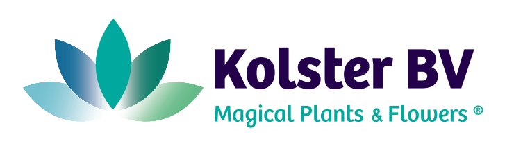 kolster logo
